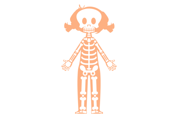 Download Kid Bone Structure. Human Skeletal Anato - Man Collection