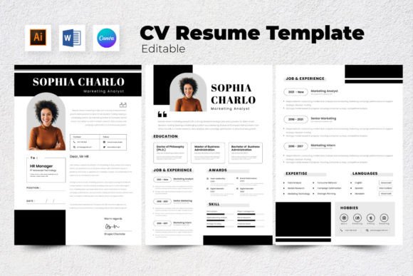 Download Resume / CV Marketing Analyst V9 - Market Collection