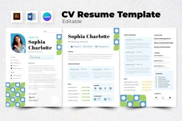 Download Resume / CV Marketing Analyst V2 - Market Collection